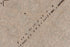 Vintage Oushak Runner Rug (2' x 10')